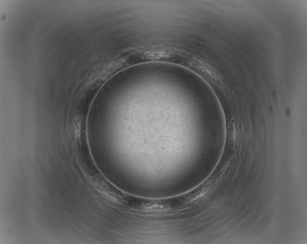 X0000083610315200702201257