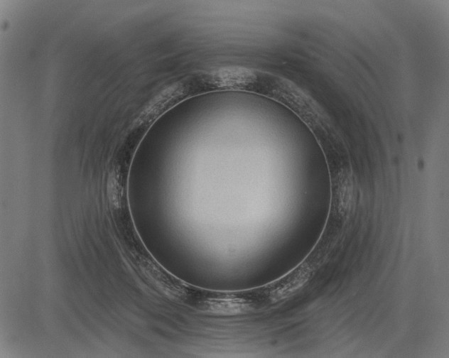 X0000083610316200702201257