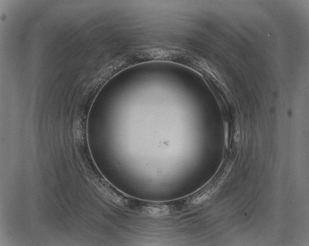 X0000083610317200702201257