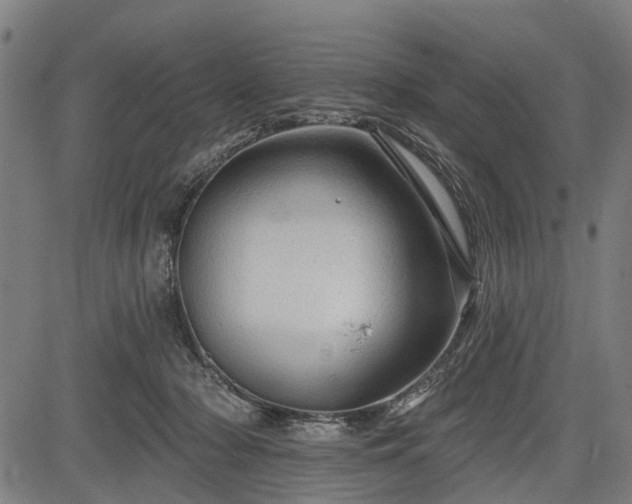 X0000083610318200702201257