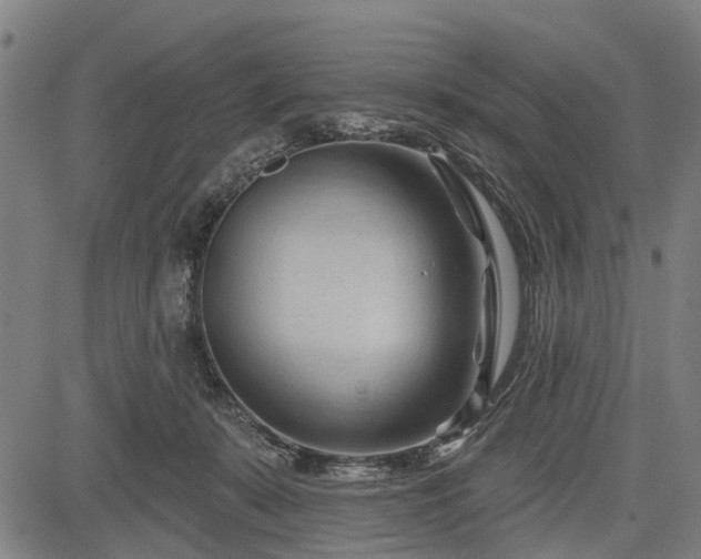 X0000083610319200702201257