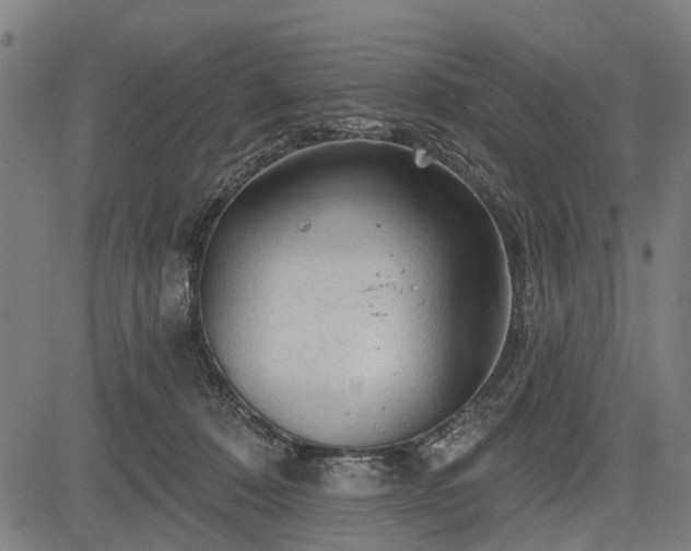 X0000083610320200702201256