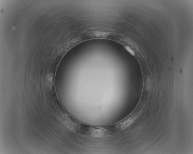 X0000083610321200702201256