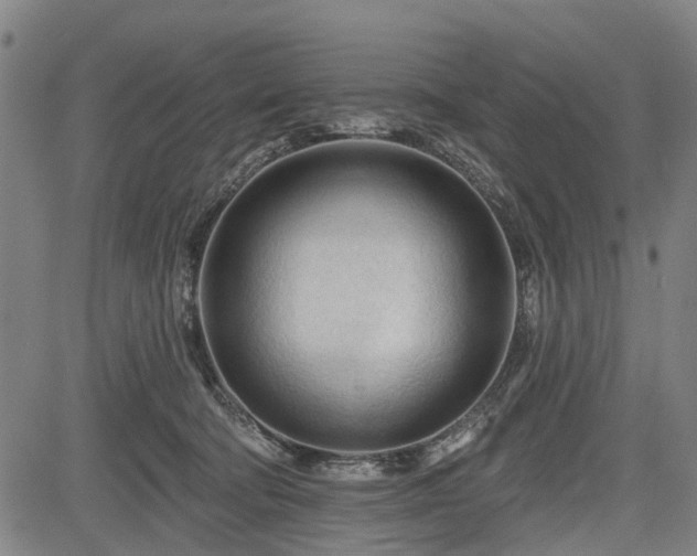 X0000083610322200702201256