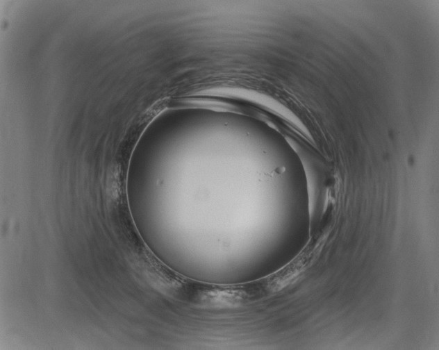 X0000083610323200702201256