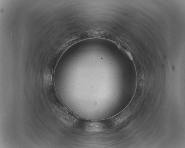 X0000083610324200702201256