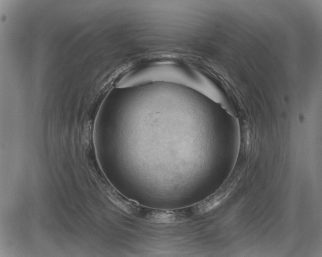 X0000083610325200702201256