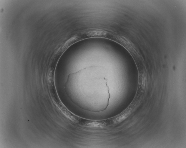 X0000083610326200702201256