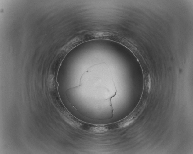 X0000083610327200702201256