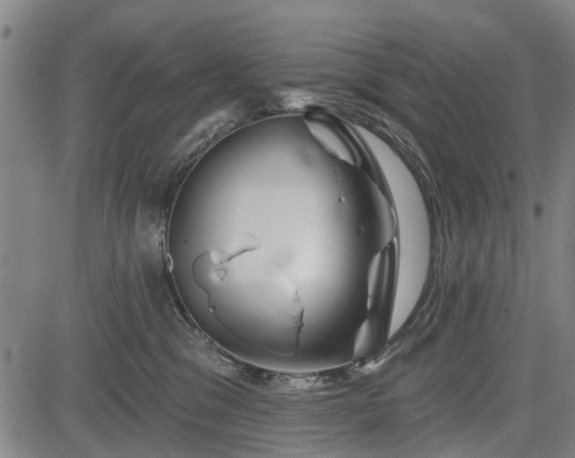 X0000083610329200702201256