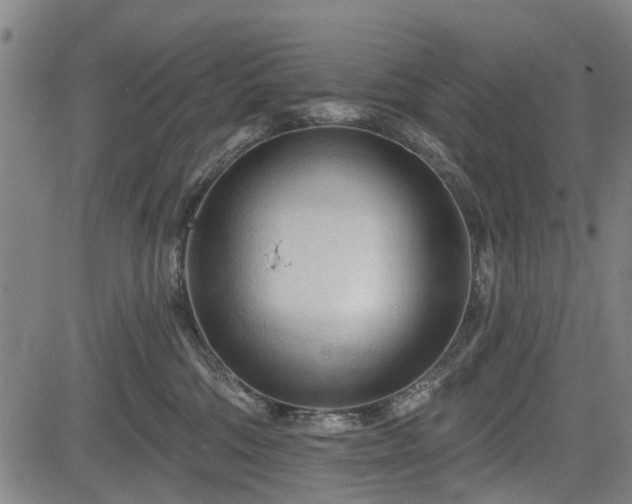 X0000083610330200702201256