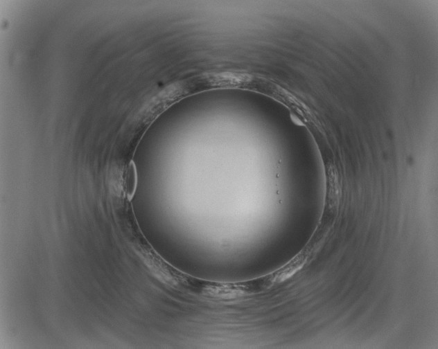 X0000083610331200702201256