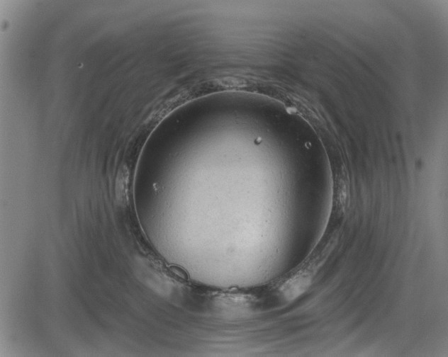 X0000083610332200702201256