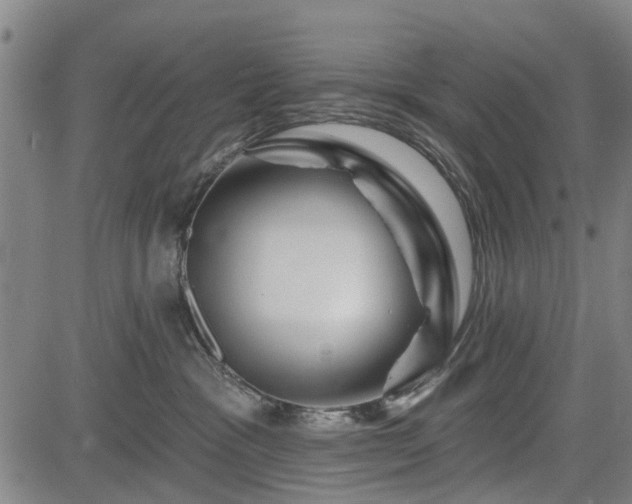 X0000083610333200702201256