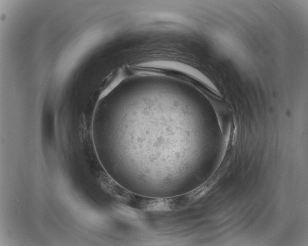 X0000083610335200702201256