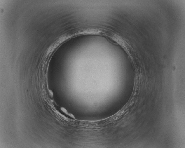 X0000083610337200702201255