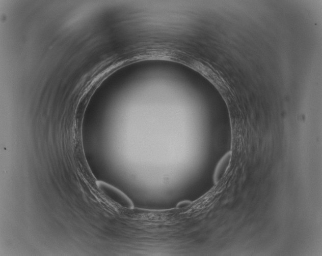 X0000083610338200702201255