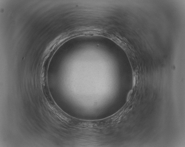 X0000083610339200702201255