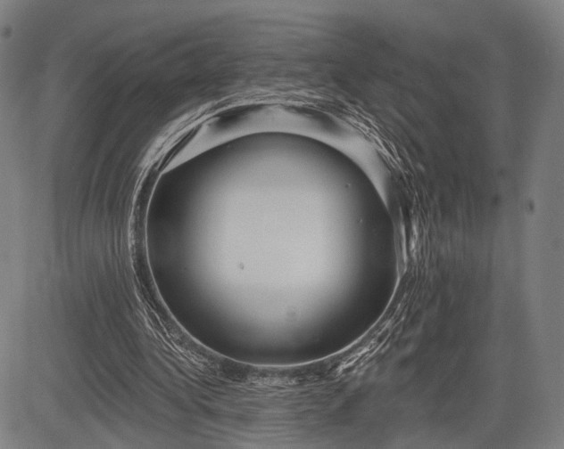 X0000083610340200702201255