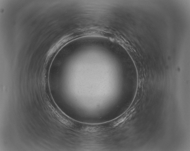 X0000083610341200702201255