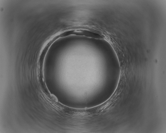 X0000083610342200702201255