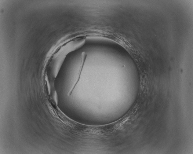 X0000083610343200702201255