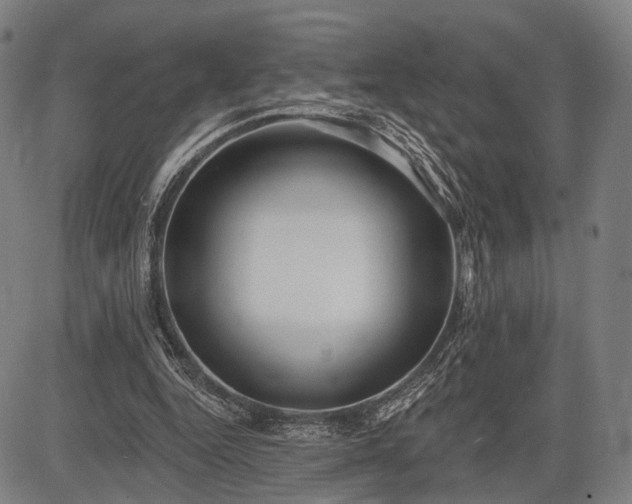 X0000083610344200702201256