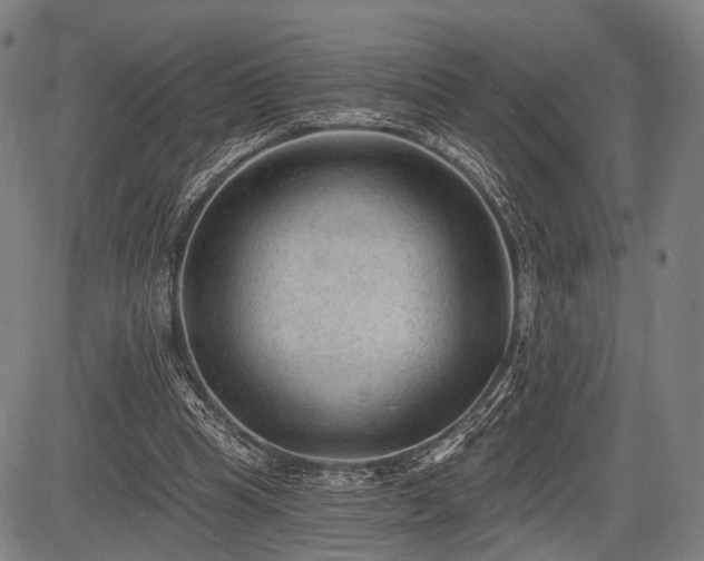 X0000083610345200702201256