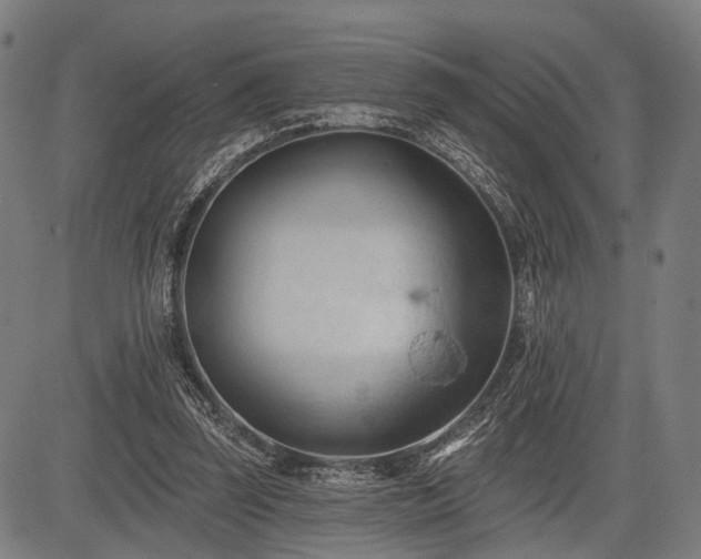 X0000083610347200702201256