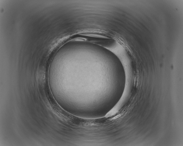 X0000083610348200702201256