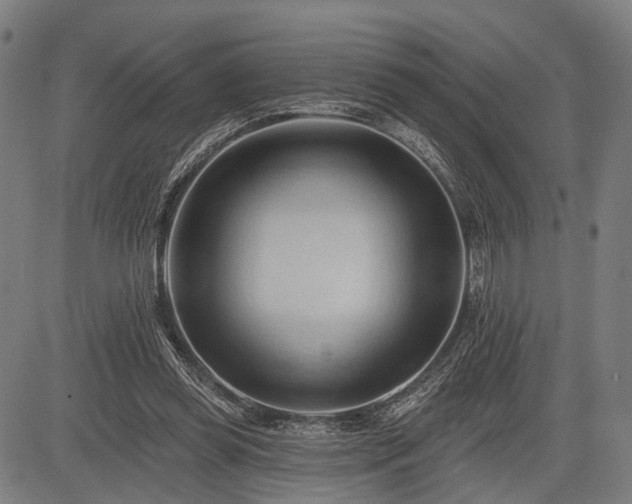 X0000083610349200702201256