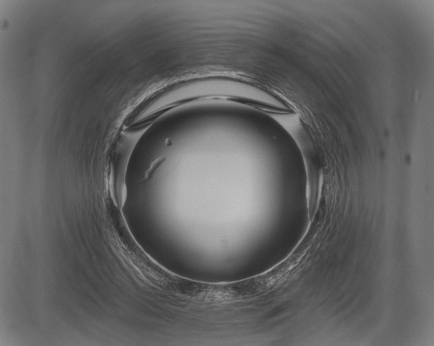 X0000083610350200702201256