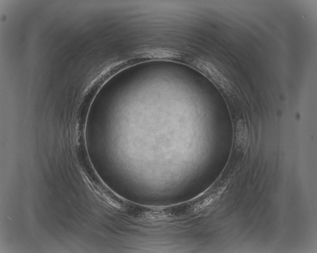 X0000083610351200702201256