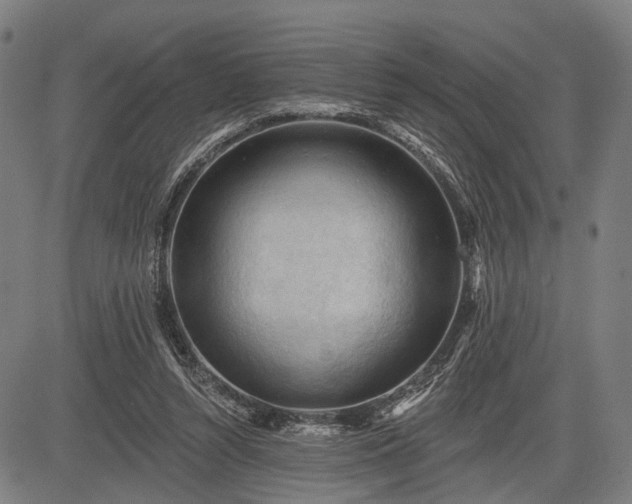 X0000083610352200702201256