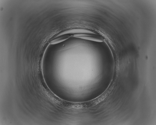 X0000083610353200702201256