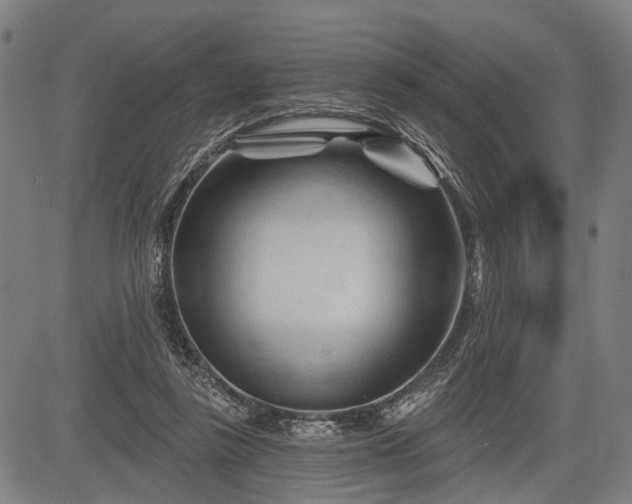 X0000083610355200702201256