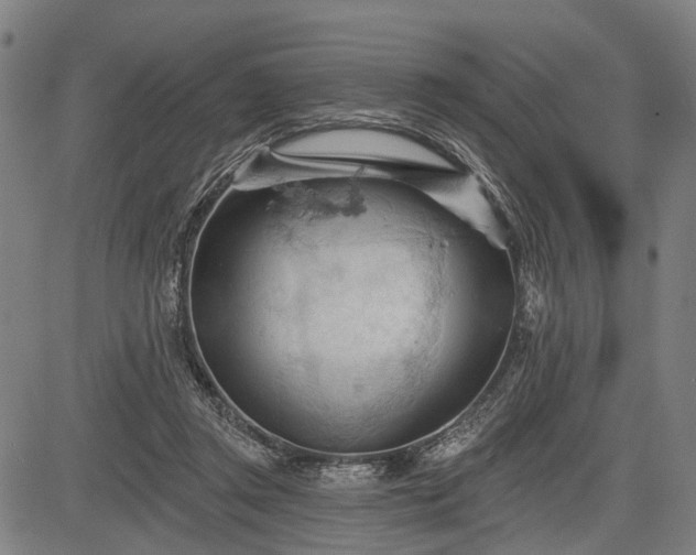 X0000083610357200702201256