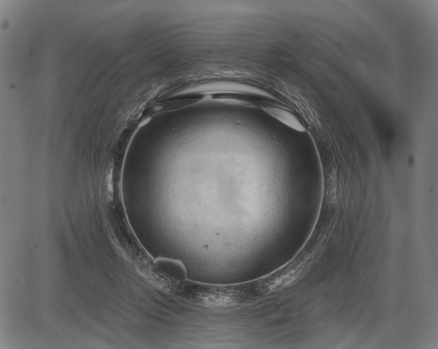 X0000083610358200702201256