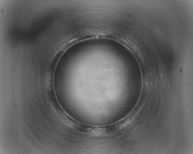 X0000083610359200702201256