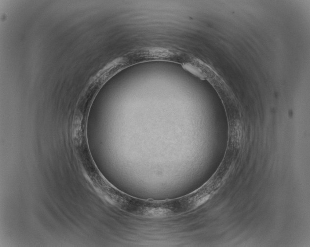 X0000083610360200702201256