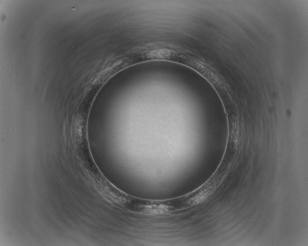 X0000083610363200702201256