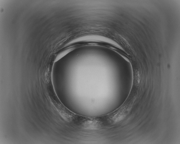 X0000083610364200702201256