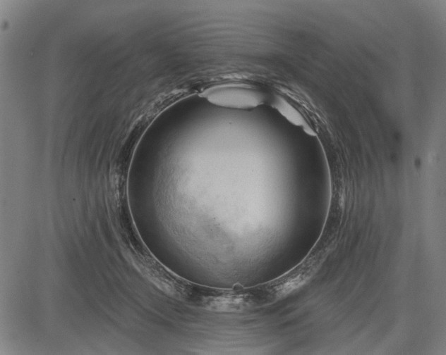 X0000083610366200702201256