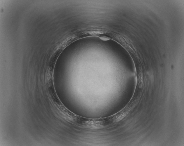 X0000083610367200702201256