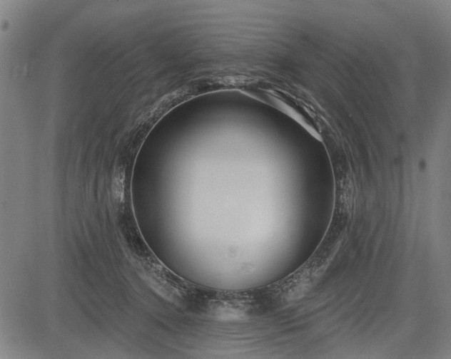 X0000083610368200702201256