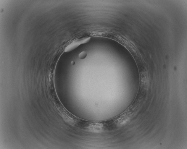 X0000083610369200702201256