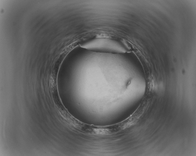 X0000083610371200702201256