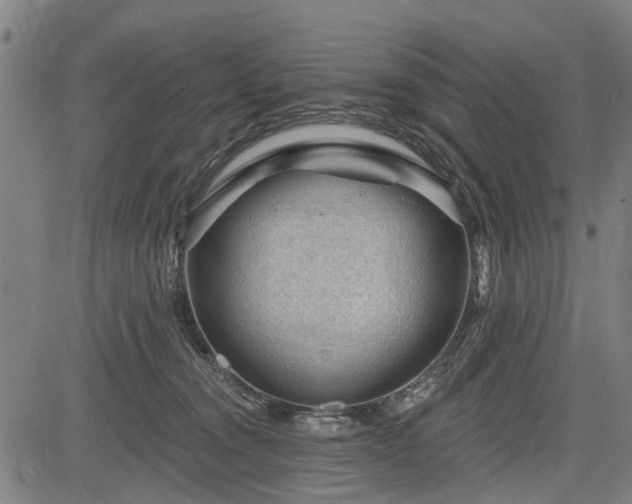 X0000083610372200702201256