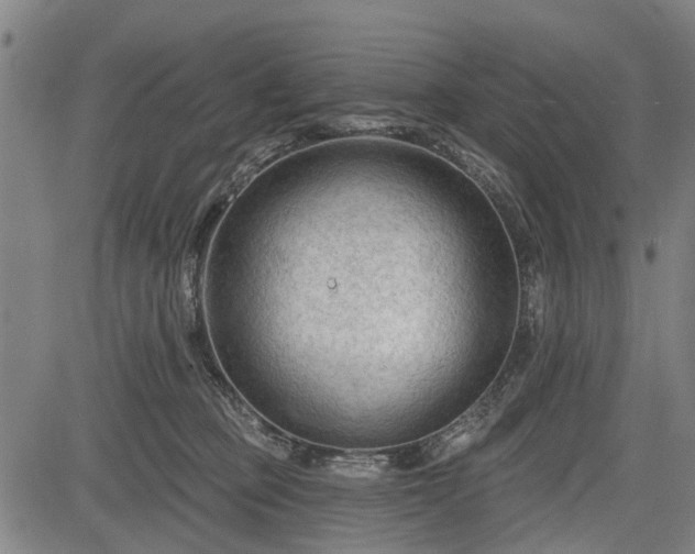 X0000083610373200702201256