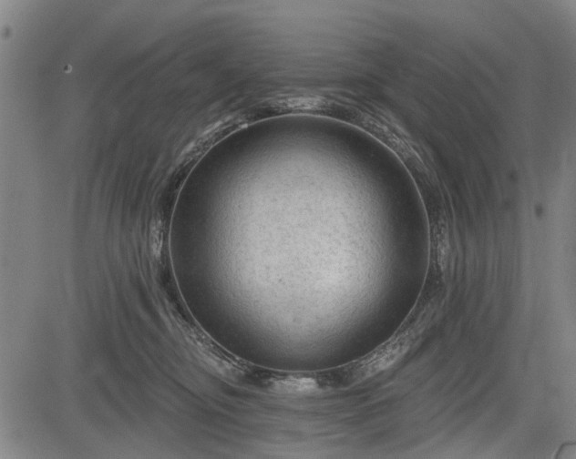 X0000083610374200702201256